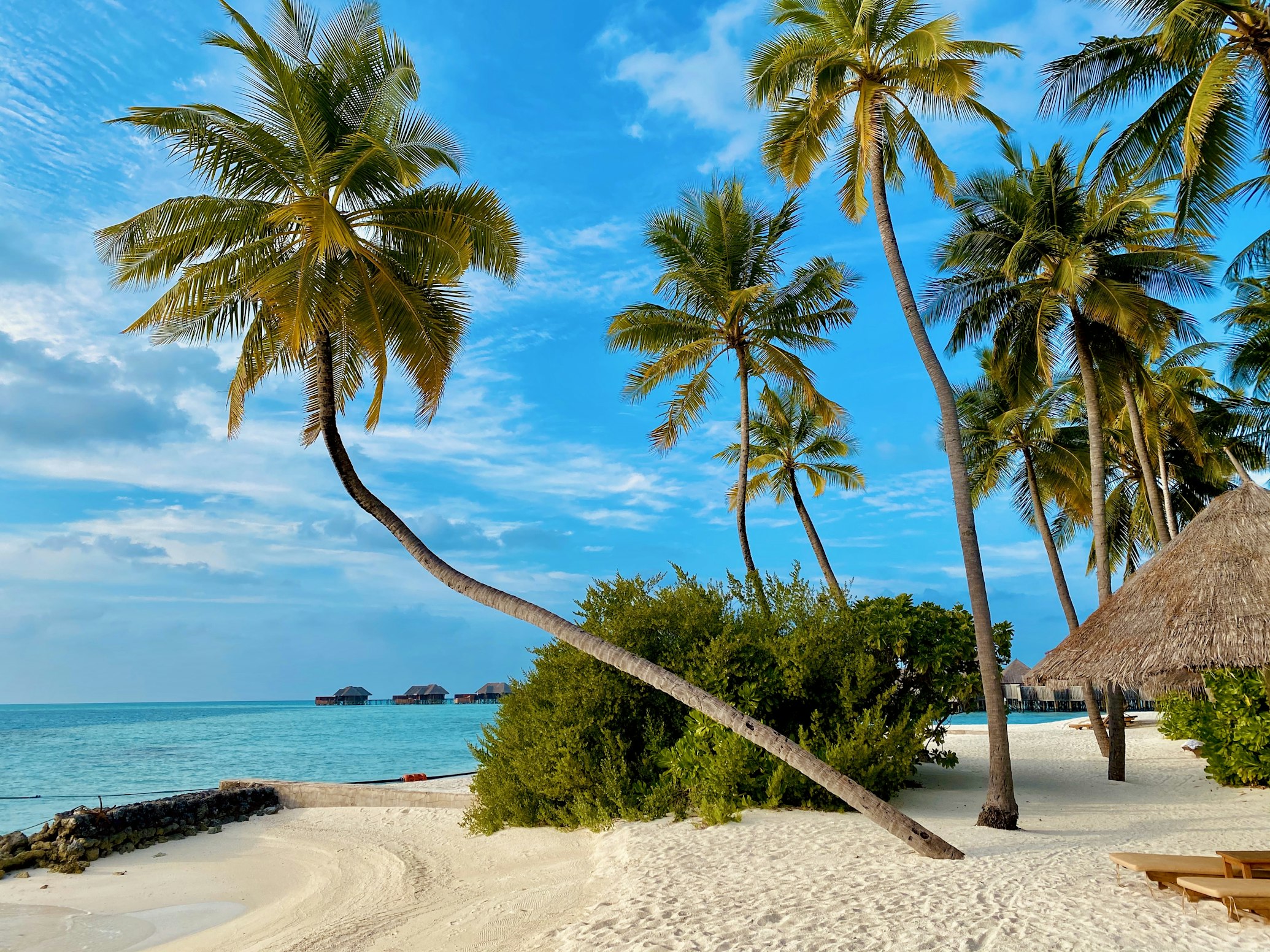 Tropical Beach Resort